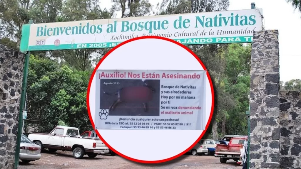 Vecinos de Xochimilco denuncian asesinatos de perros en el Bosque de Nativitas; hallan a 19